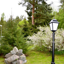 Repino Park Hotel 