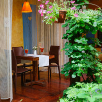 Alexander House Терраса