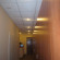Photos Nevsky