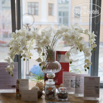 Residence Hotel & SPA 