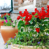 Svetliy Terem Hotel 
