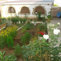 Глициния (закрыт)