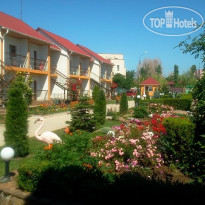 Фламинго 