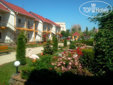 Фламинго
