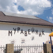 Муравейник