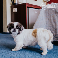 Бештау  Отель "Бештау" - один из немно