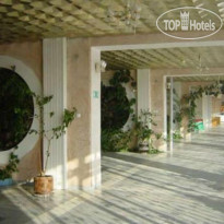 Зори Ставрополья 