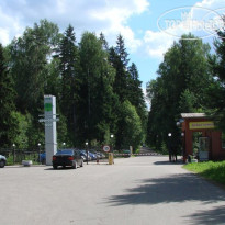 Сосновый бор 