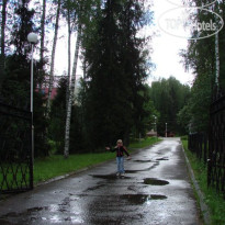 Сосновый бор 