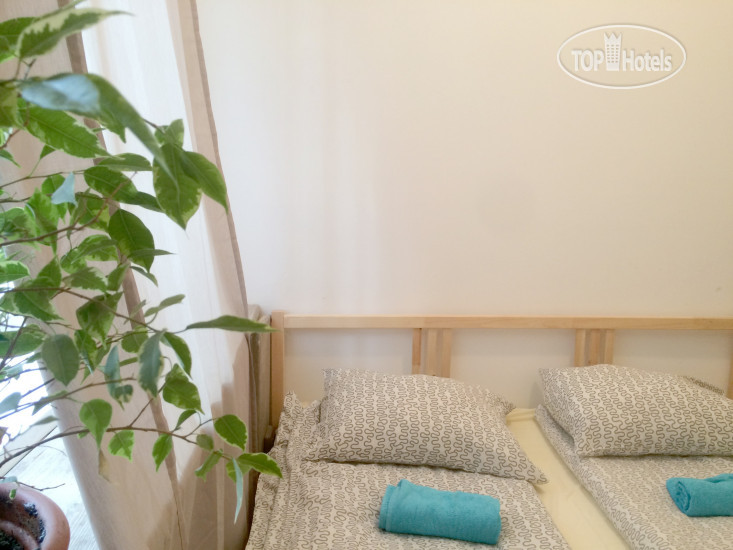 New photos from tourists Hostel Vozduh