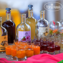 Dolphin Planet Hotel & SPA 