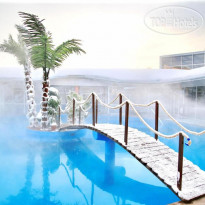 Dolphin Planet Hotel & SPA 