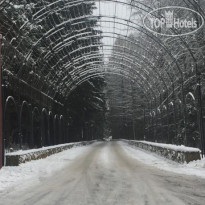Лесная Сказка 
