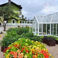 Бутик-отель Зелёная Сова 