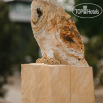 Бутик-отель Зелёная Сова 