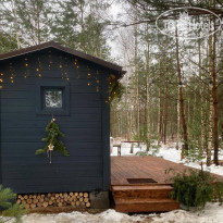 TinyDacha Можжевельник 