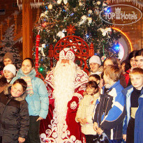 Лесная сказка