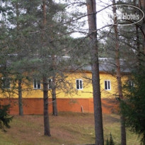 Лесная сказка