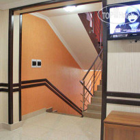 Сосновый Бор Холл