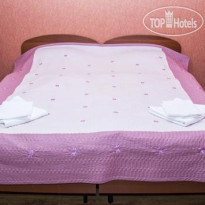 Сосновый Бор 4-местный двухкомнатный люкс