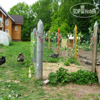 Живые Родники 