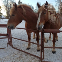 Малиновая слобода 