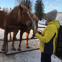Малиновая слобода 