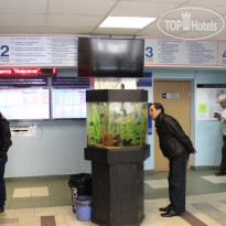 Учебный Хостел 