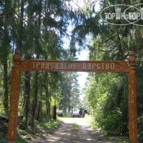 Тридевятое царство