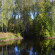 Yasnaya Polyana 