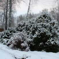 Yasnaya Polyana 