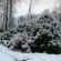 Yasnaya Polyana 