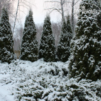 Yasnaya Polyana 