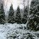 Yasnaya Polyana 