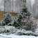 Yasnaya Polyana 
