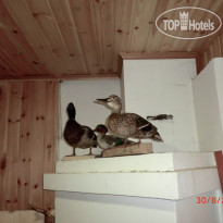 Гостевой дом отца Василия 