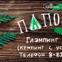 Папоротник 