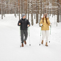 Cosmos Smart Segezha 