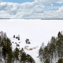 Cosmos Smart Segezha 