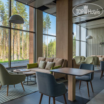 Cosmos Smart Segezha 