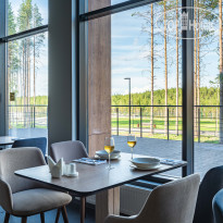 Cosmos Smart Segezha 