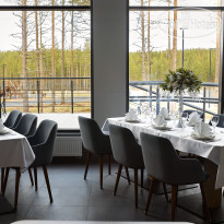 Cosmos Smart Segezha 