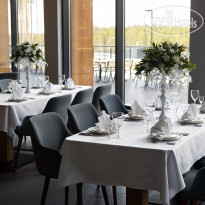 Cosmos Smart Segezha 