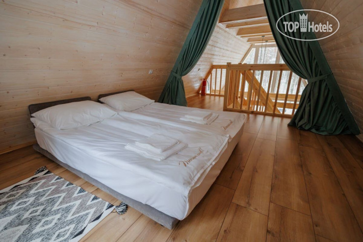 Хвоя Карелия