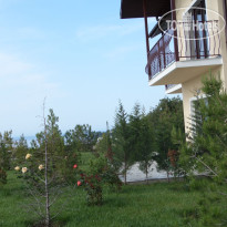Гринцовский Пансионат