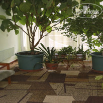 Sanatorium Mishor