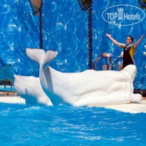 MRIYA RESORT & SPA Акватория, театр морских живот