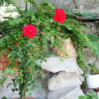 Guest House Radmir
