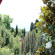 Guest House Radmir 