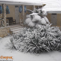 Летний дворик фасад мини-отеля